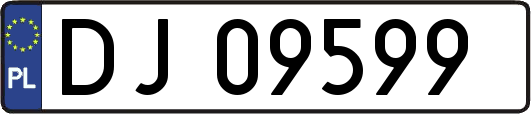 DJ09599