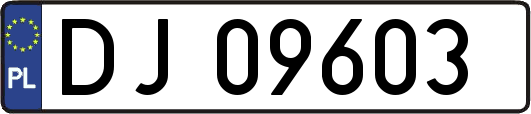 DJ09603