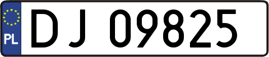 DJ09825