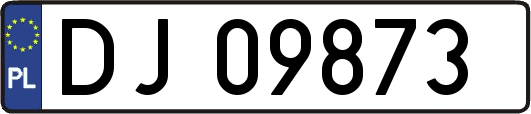 DJ09873