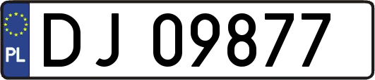 DJ09877