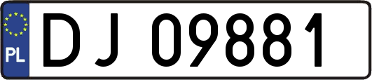 DJ09881