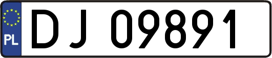 DJ09891