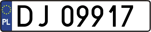 DJ09917