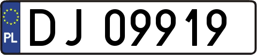 DJ09919