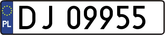 DJ09955
