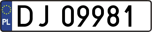 DJ09981