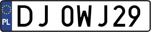 DJ0WJ29