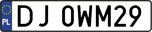 DJ0WM29