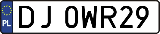 DJ0WR29