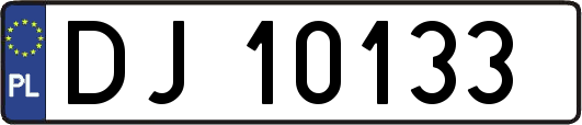 DJ10133