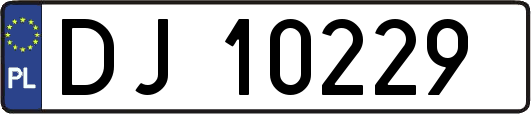 DJ10229