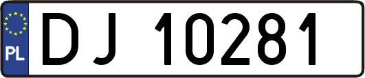 DJ10281