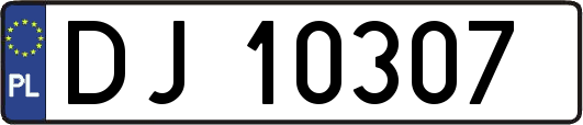 DJ10307