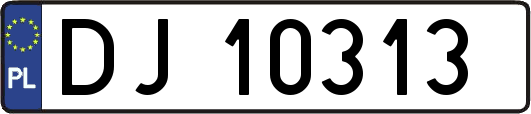 DJ10313