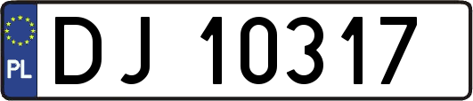 DJ10317