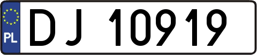 DJ10919