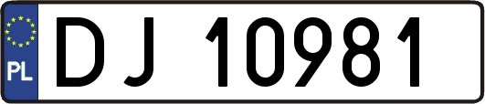 DJ10981