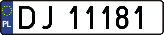 DJ11181