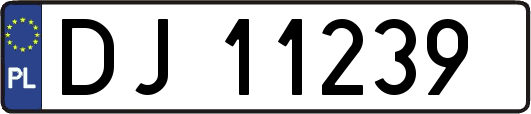 DJ11239