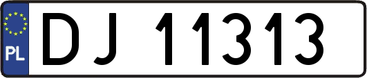 DJ11313