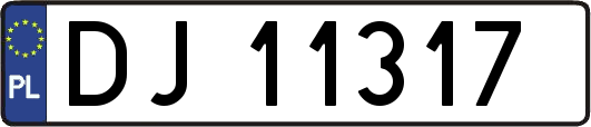 DJ11317