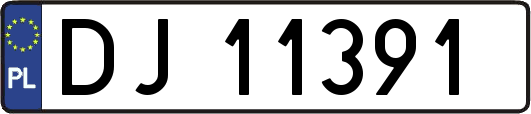 DJ11391