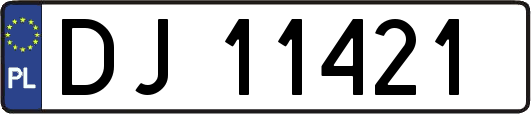 DJ11421
