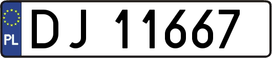 DJ11667