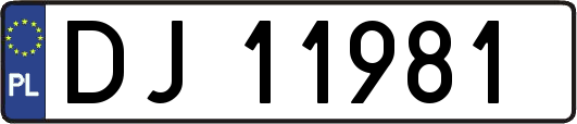 DJ11981
