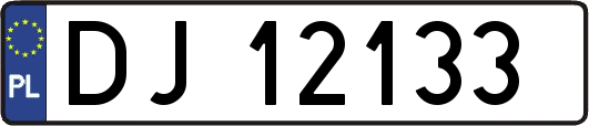 DJ12133