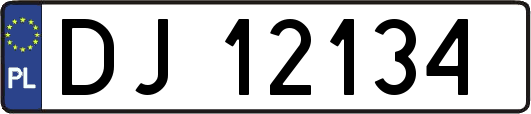 DJ12134