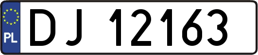 DJ12163