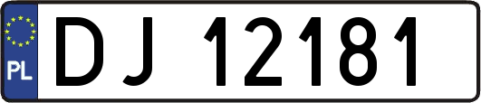 DJ12181