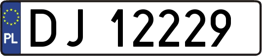 DJ12229