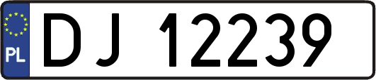 DJ12239