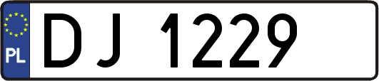 DJ1229