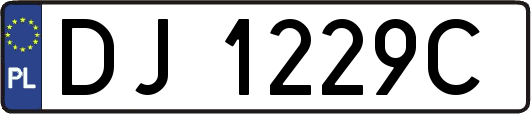DJ1229C