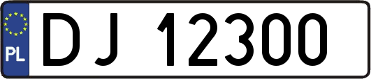 DJ12300