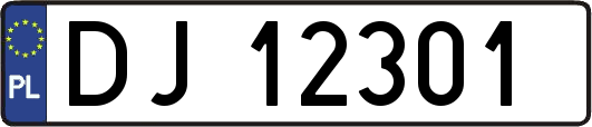 DJ12301