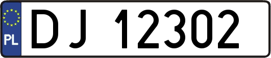 DJ12302