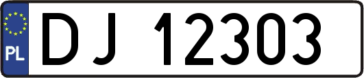 DJ12303