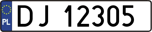 DJ12305
