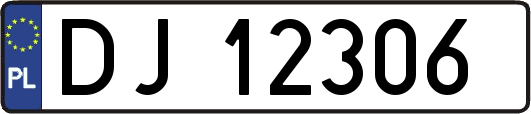 DJ12306