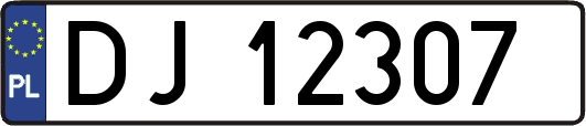 DJ12307