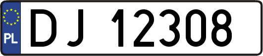 DJ12308
