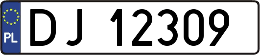 DJ12309