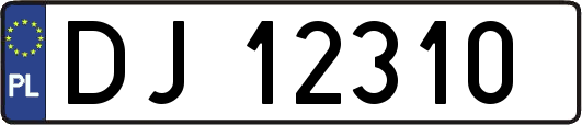 DJ12310
