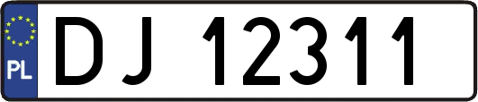 DJ12311