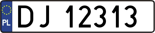 DJ12313